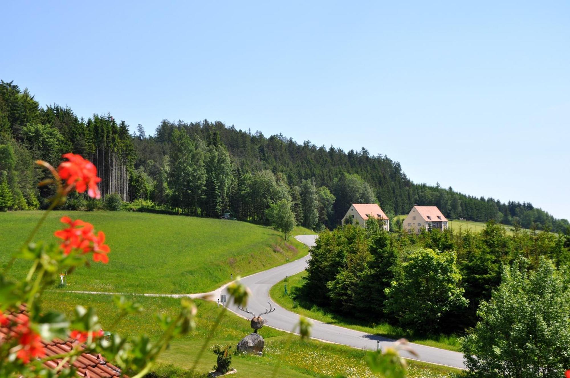 Cafe-Pension Kristall Hirschenwies Экстерьер фото